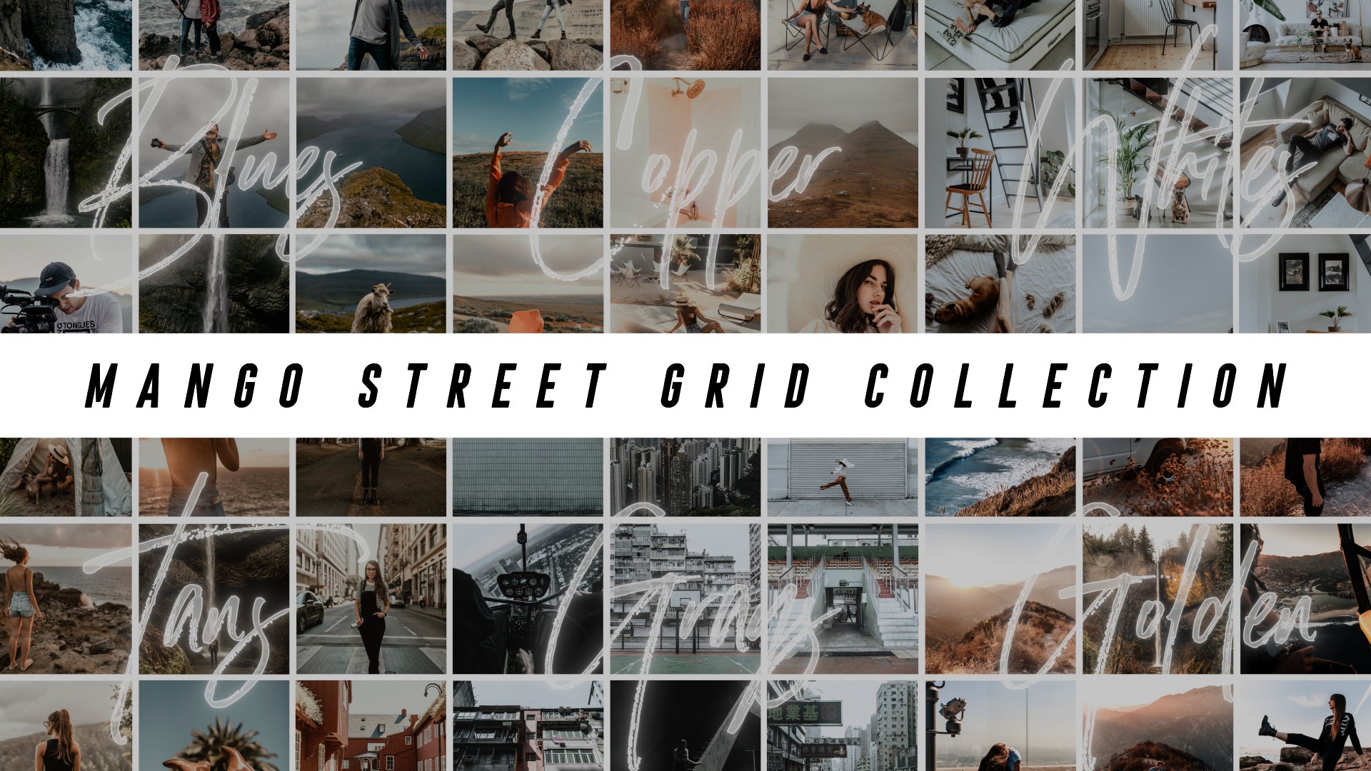 The Grid Collection